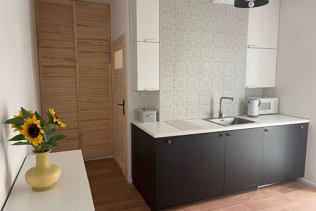 Apartament Seagull 30M2 Hel Esterno foto
